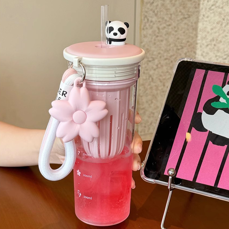 650 ml Kawaii Wasserflasche mi – Water Purification Straw Bewertung und Preis